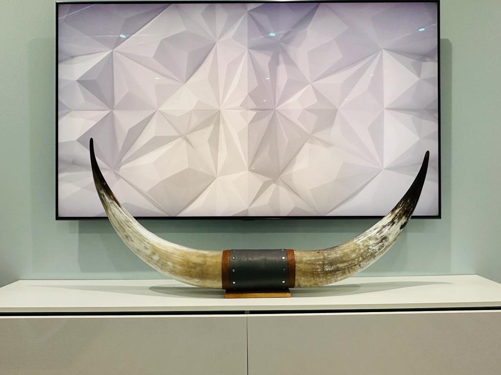 Authentic Real Bull Longhorn/Leather Horn Mount - 50" to 53" - Steer Horns Truck Wall Hangings and Wall Decor