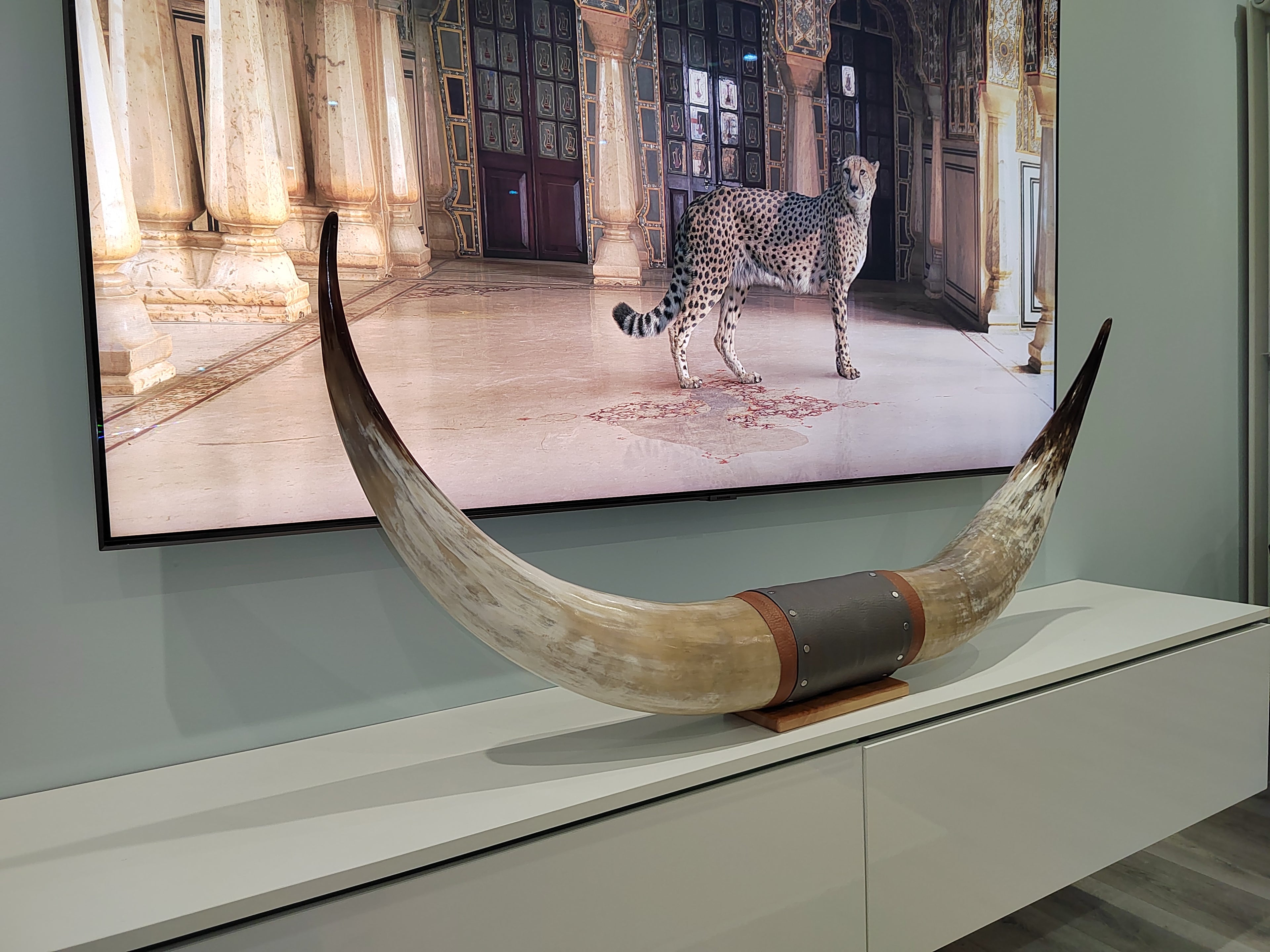 Authentic Real Bull Longhorn/Leather Horn Mount - 50" to 53" - Steer Horns Truck Wall Hangings and Wall Decor