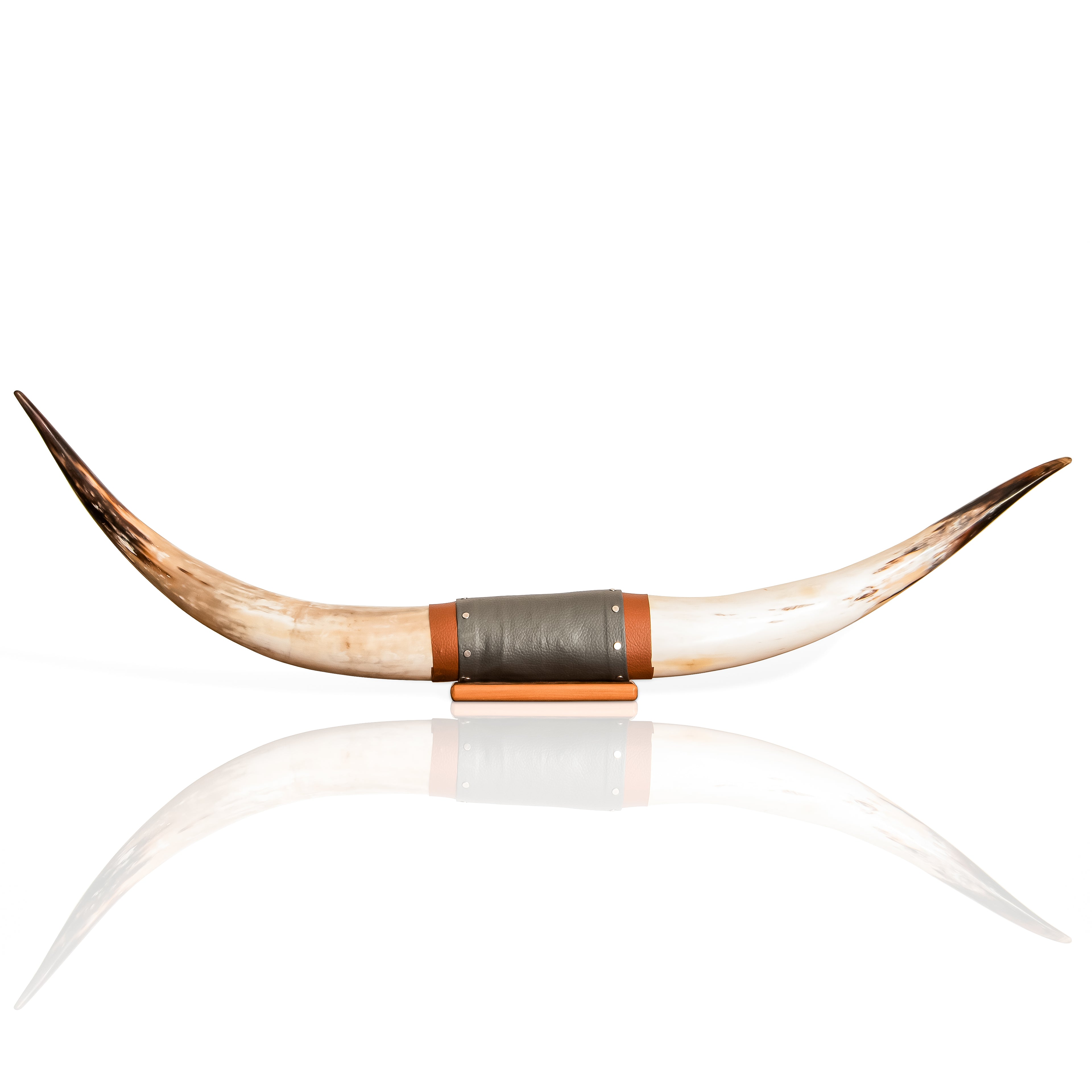 Authentic Real Bull Longhorn/Leather Horn Mount - 50" to 53" - Steer Horns Truck Wall Hangings and Wall Decor