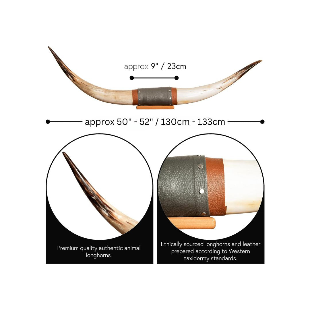 Authentic Real Bull Longhorn/Leather Horn Mount - 50" to 53" - Steer Horns Truck Wall Hangings and Wall Decor