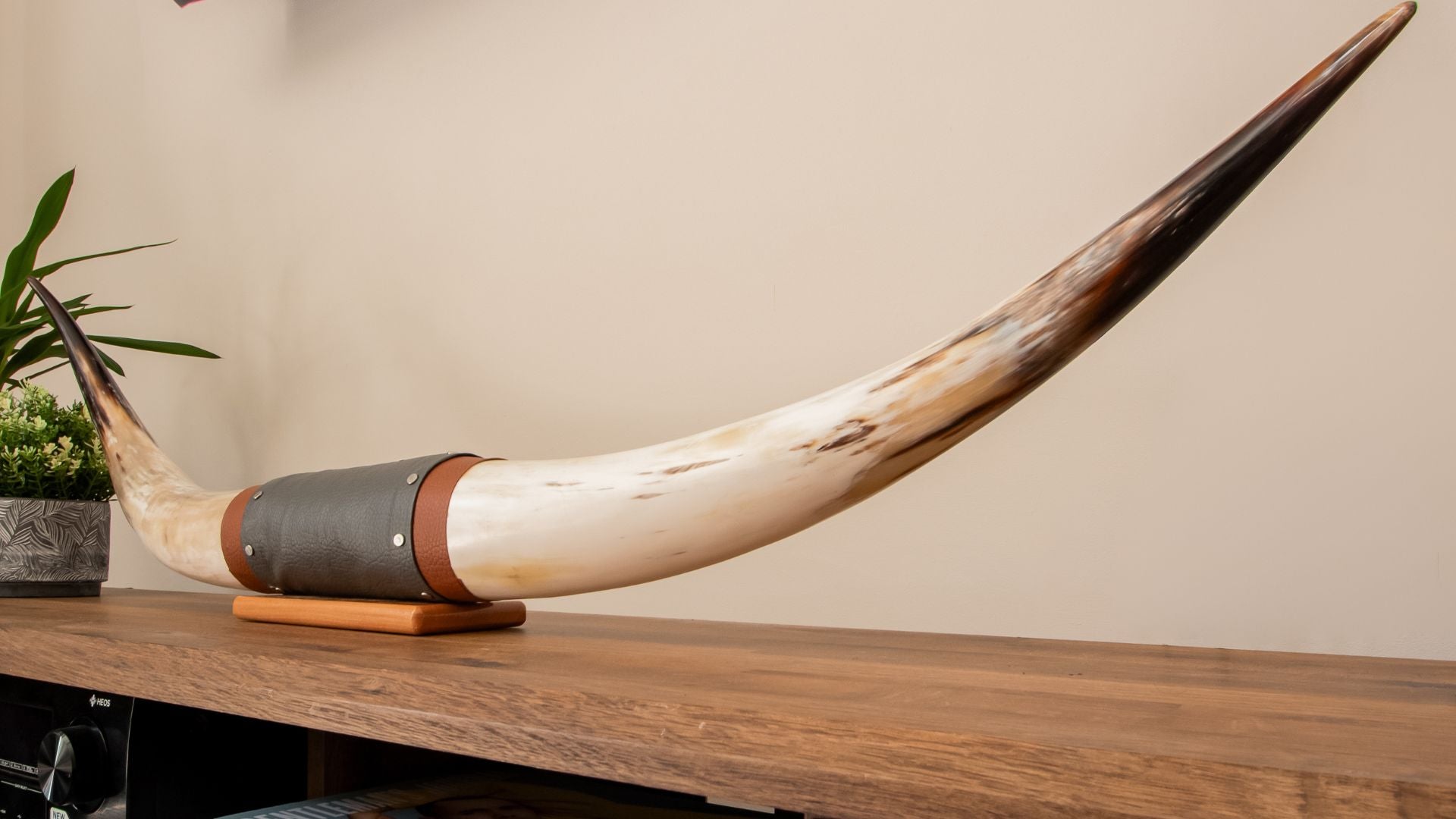 Authentic Real Bull Longhorn/Leather Horn Mount - 50" to 53" - Steer Horns Truck Wall Hangings and Wall Decor