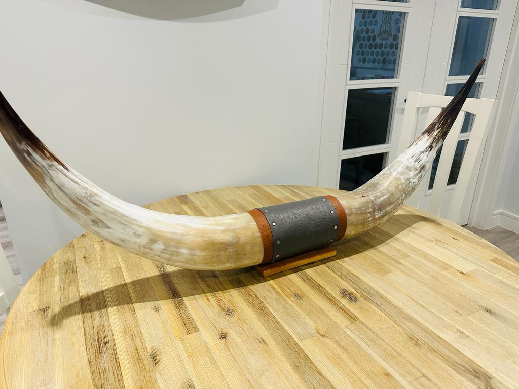 Authentic Real Bull Longhorn/Leather Horn Mount - 50&quot; to 53&quot; - Steer Horns Truck Wall Hangings and Wall Decor